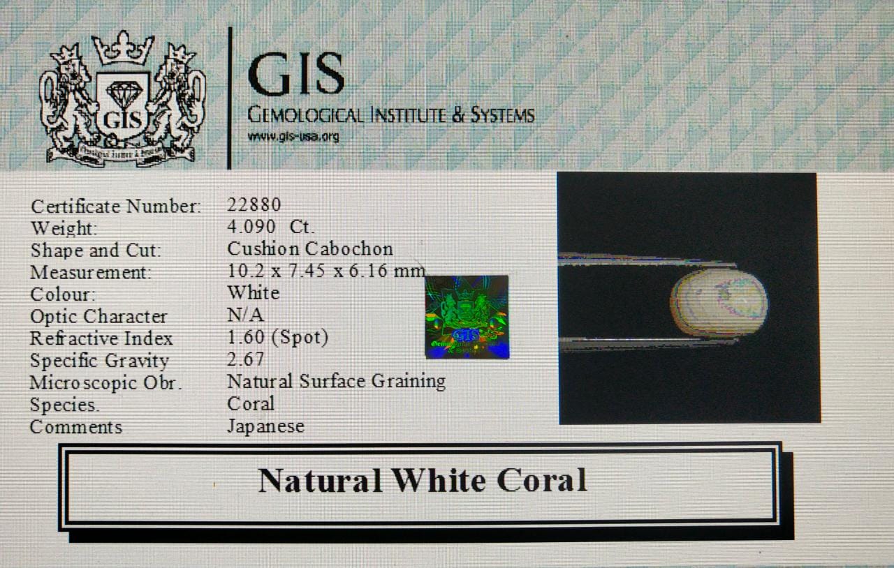 White Coral 4.09 Ct.