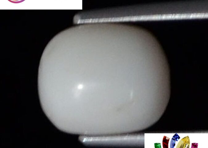WC205 1 e1680687593662 White Coral 3.97 Ct.