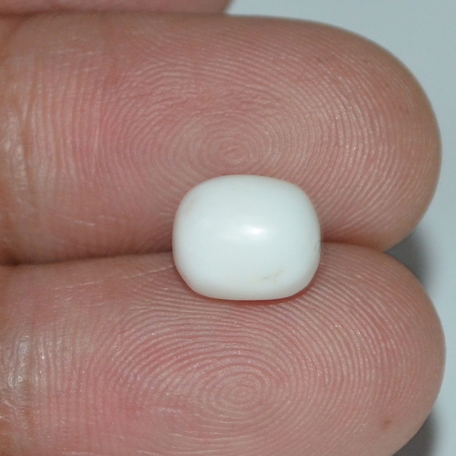 WC205 3 White Coral 3.97 Ct.