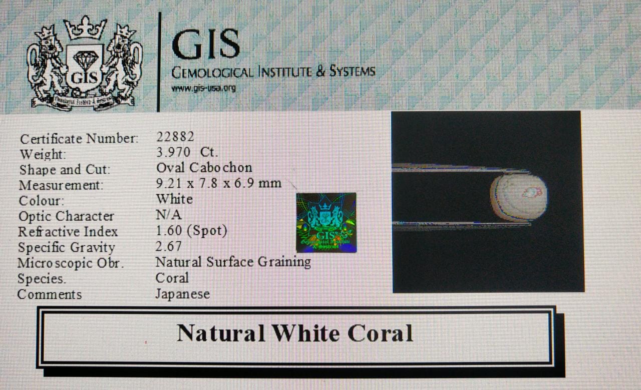 WC205 4 White Coral 3.97 Ct.