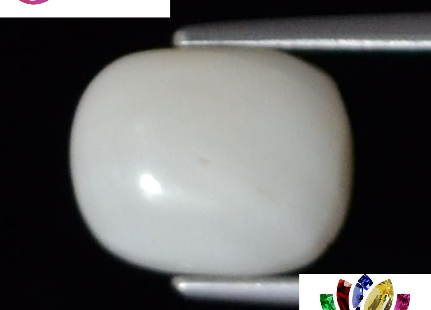 White Coral 3.74 Ct.