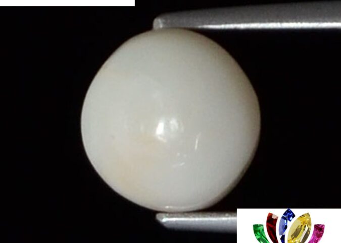WC208 1 e1680687267398 White Coral 3.67 Ct.