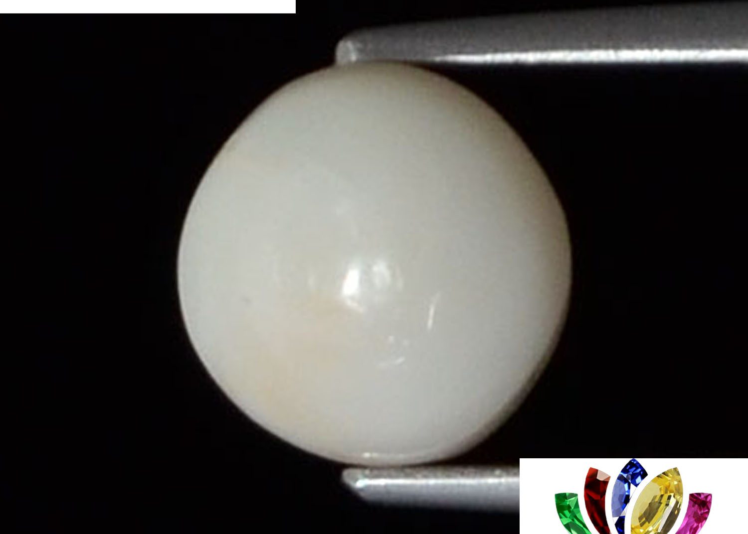 White Coral 3.67 Ct.