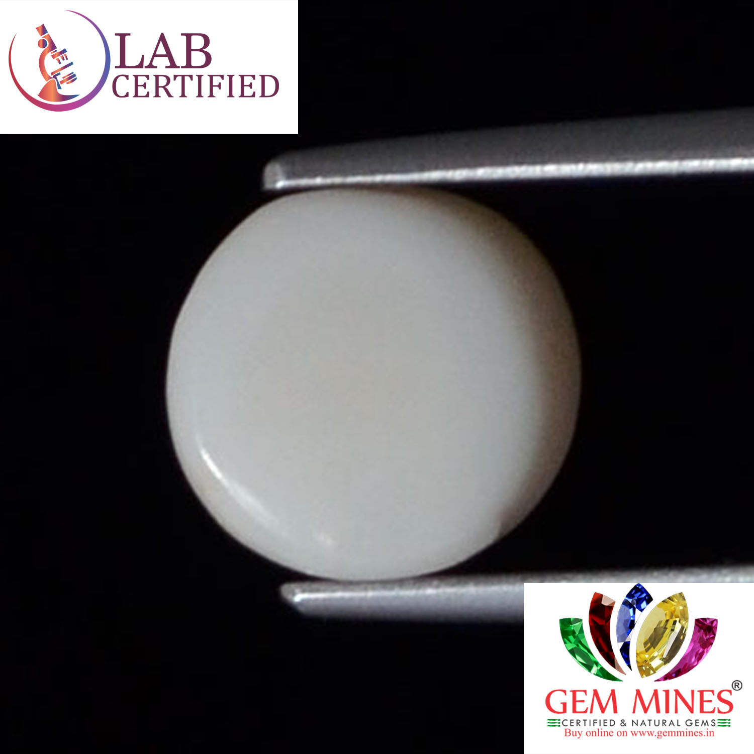 WC208 2 White Coral 3.67 Ct.