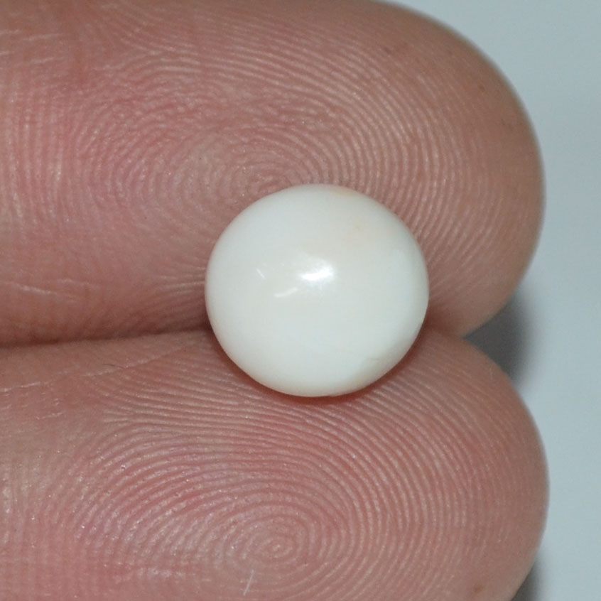 WC208 3 White Coral 3.67 Ct.