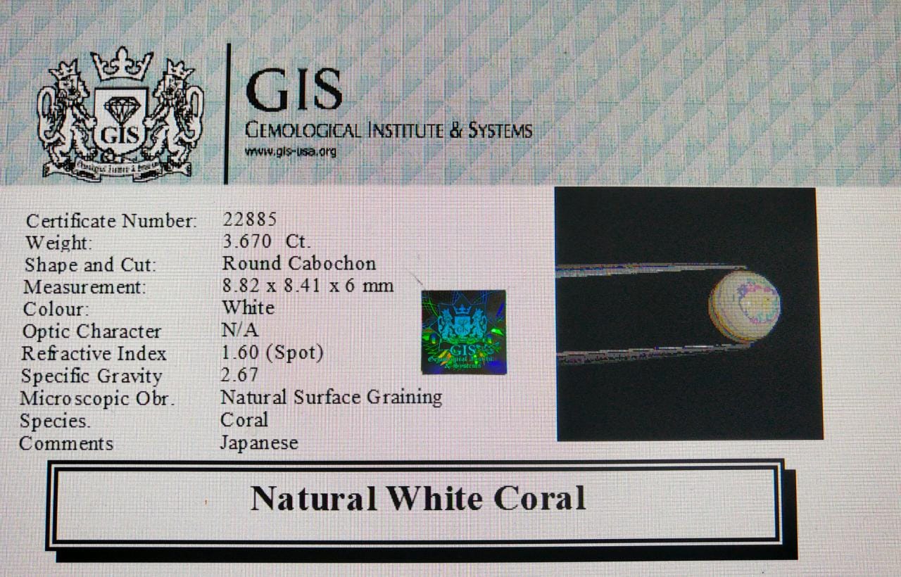 WC208 4 White Coral 3.67 Ct.
