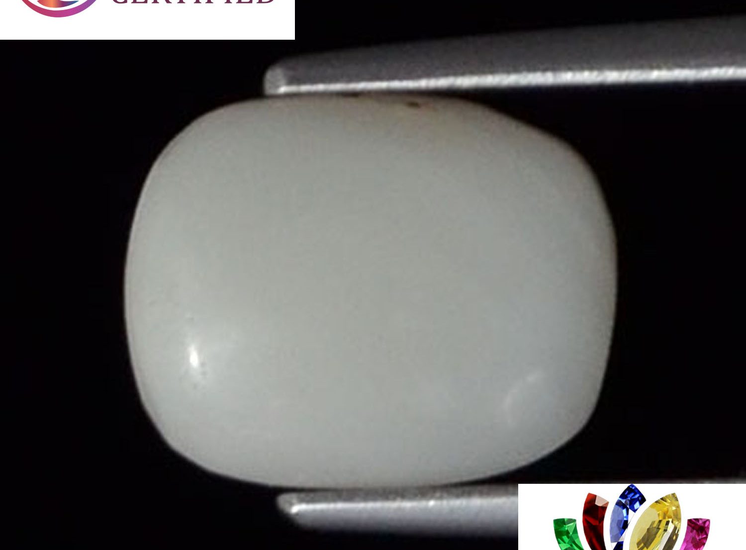 White Coral 2.4 Ct.