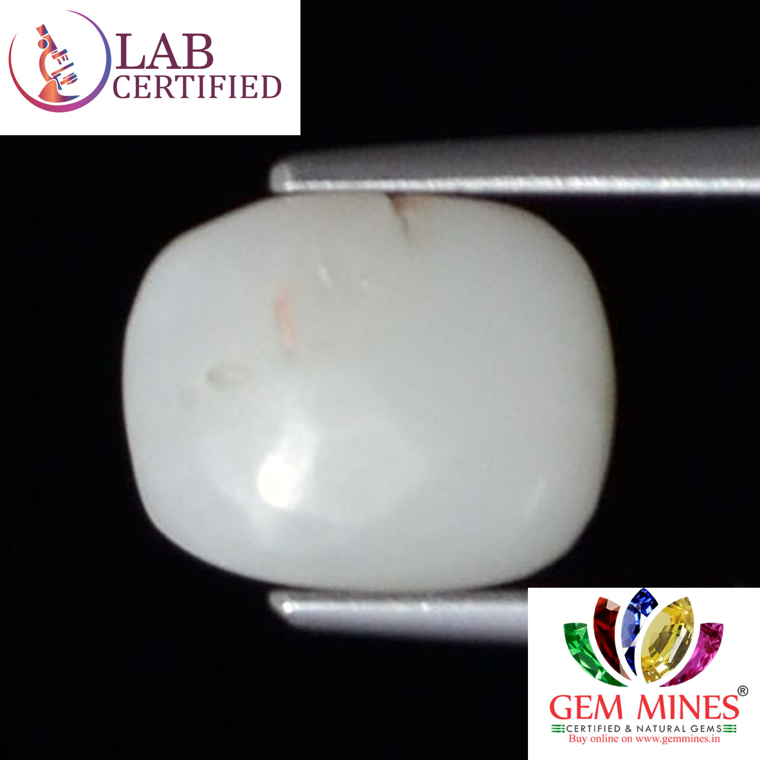 WC210 2 White Coral 2.4 Ct.