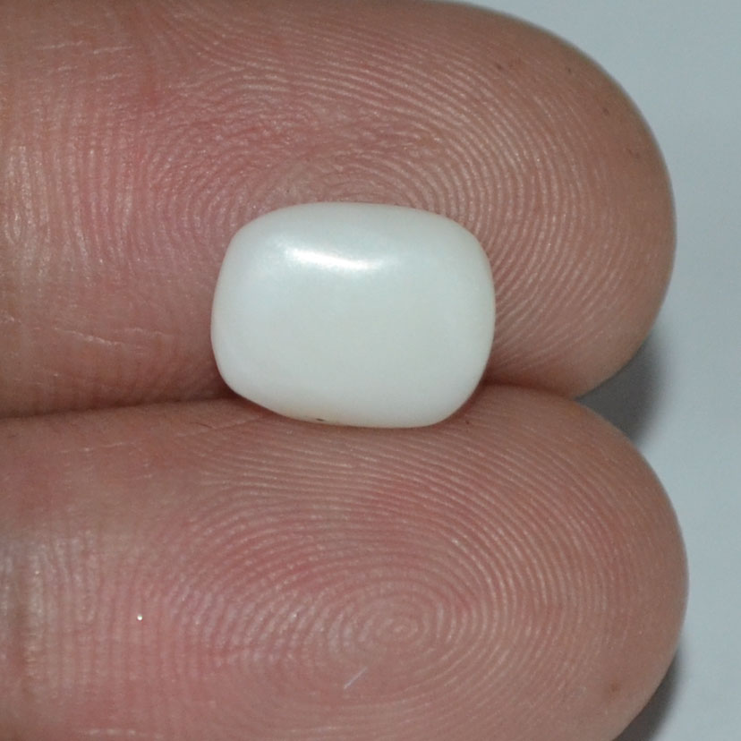 WC210 3 White Coral 2.4 Ct.