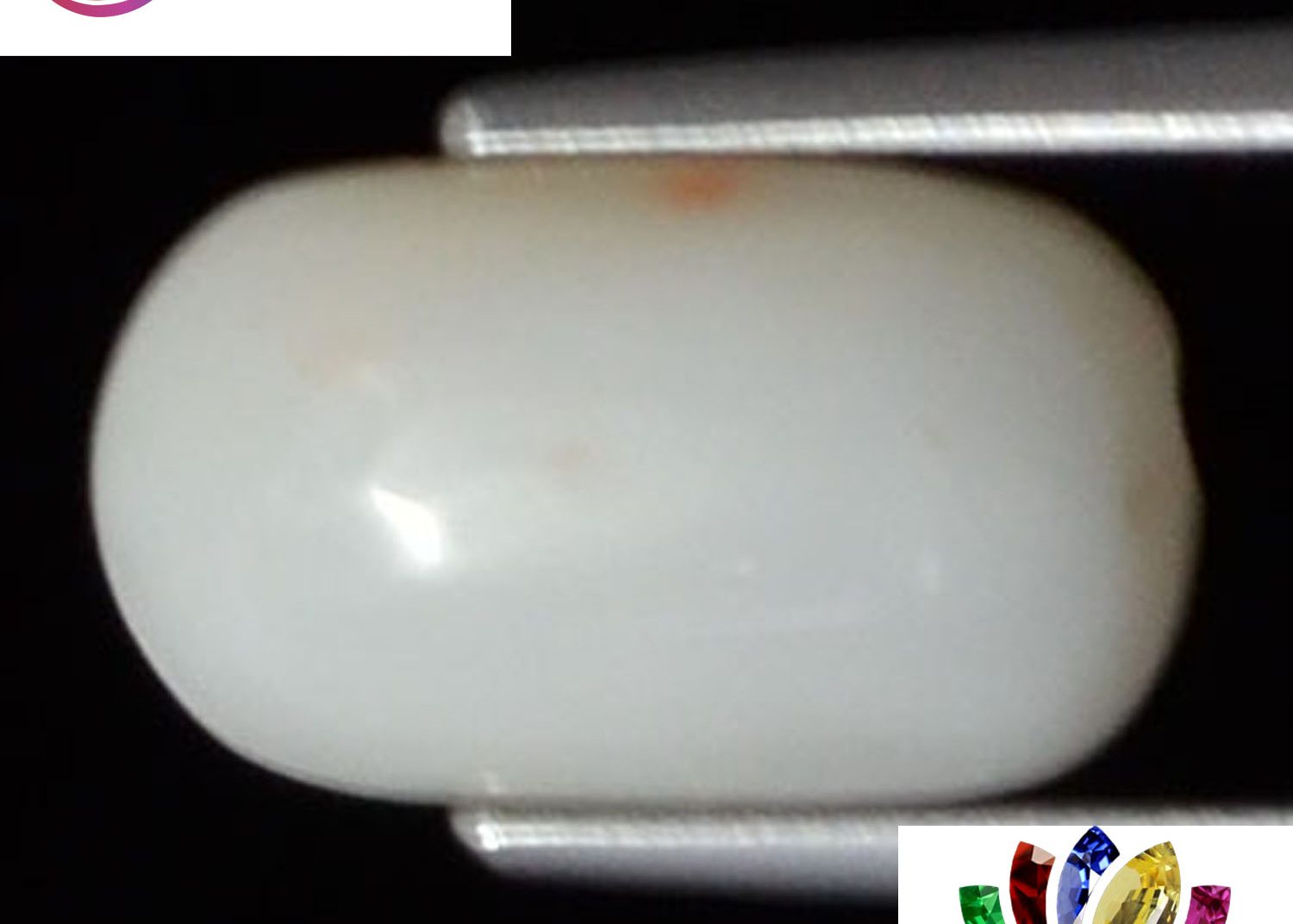White Coral 4.16 Ct.