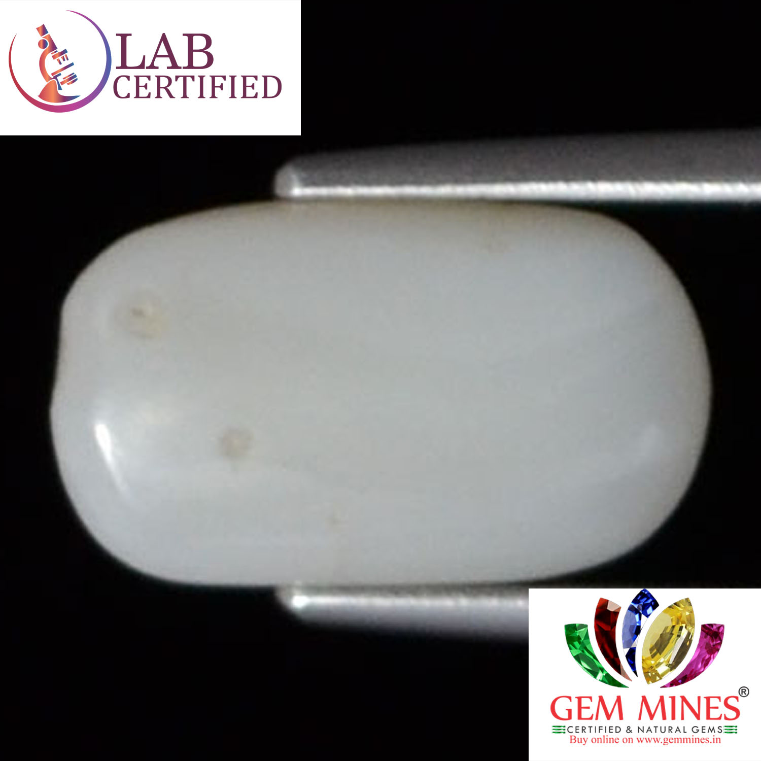 WC212 2 White Coral 4.16 Ct.
