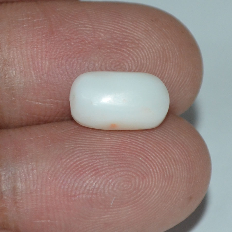 WC212 3 White Coral 4.16 Ct.