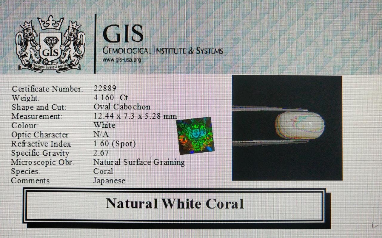 WC212 4 White Coral 4.16 Ct.