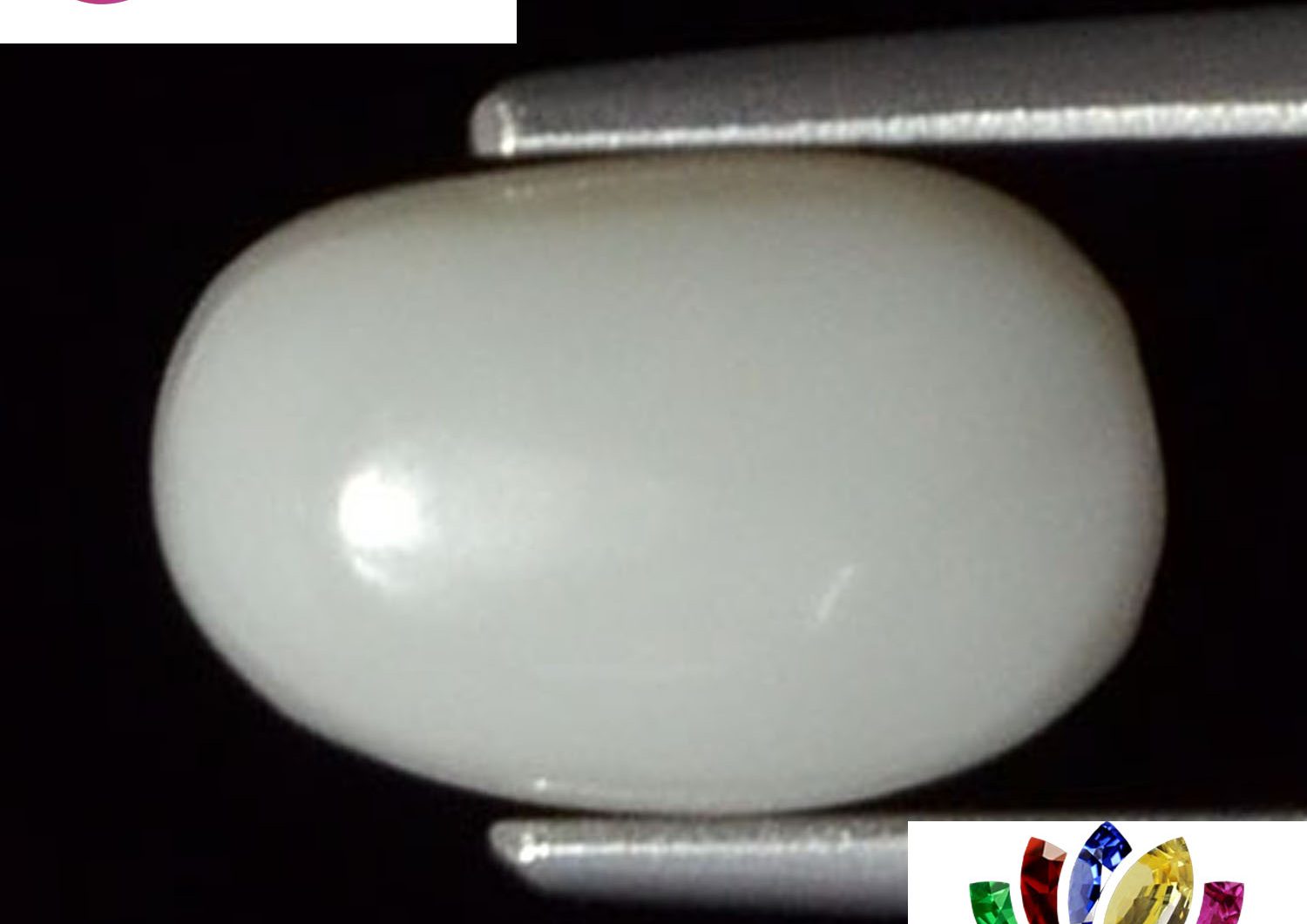 White Coral 2.43 Ct.