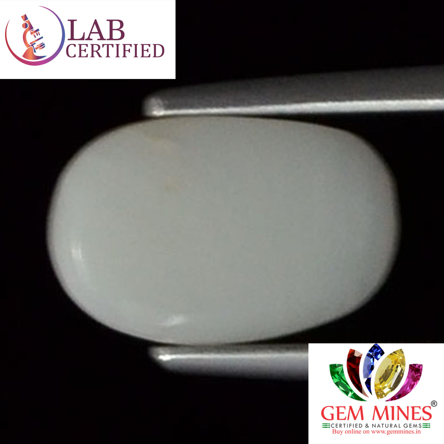 WC214 2 White Coral 2.43 Ct.