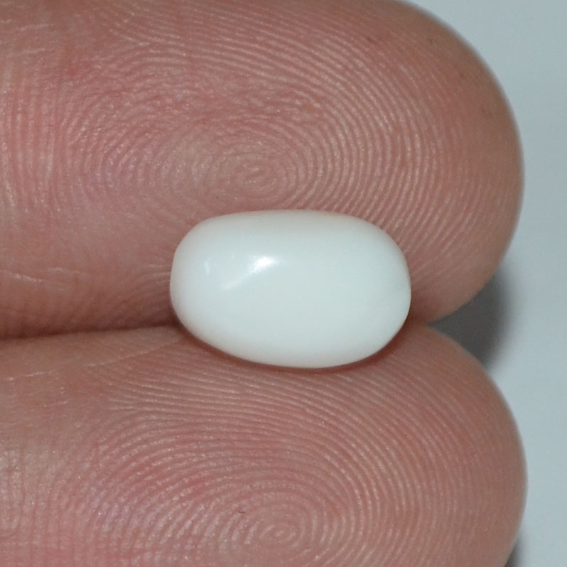 WC214 3 White Coral 2.43 Ct.