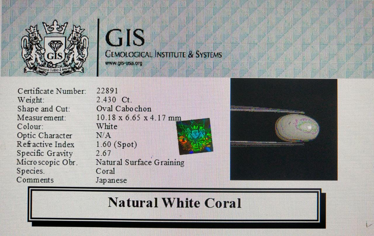WC214 4 White Coral 2.43 Ct.