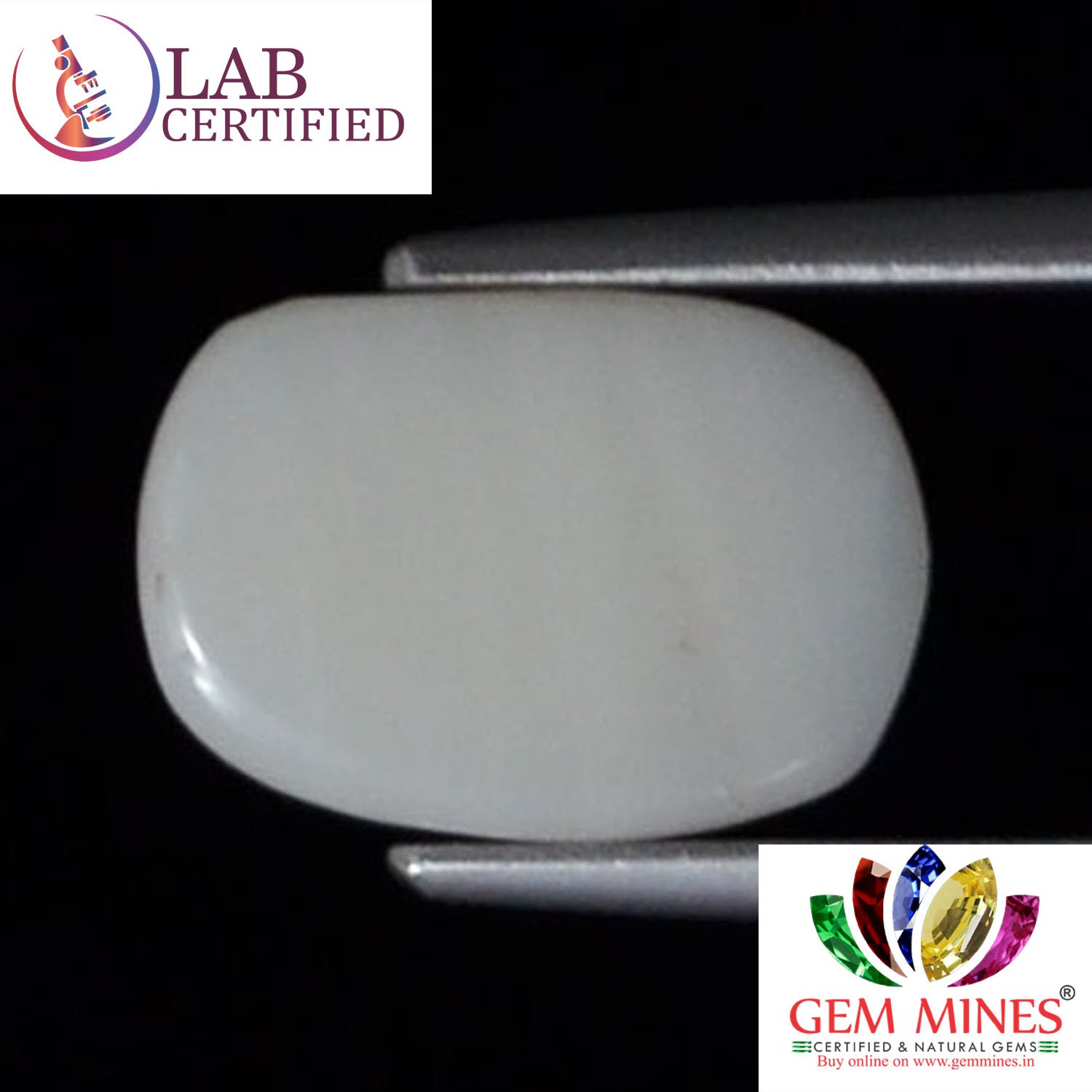 WC218 2 White Coral 2.88 Ct.