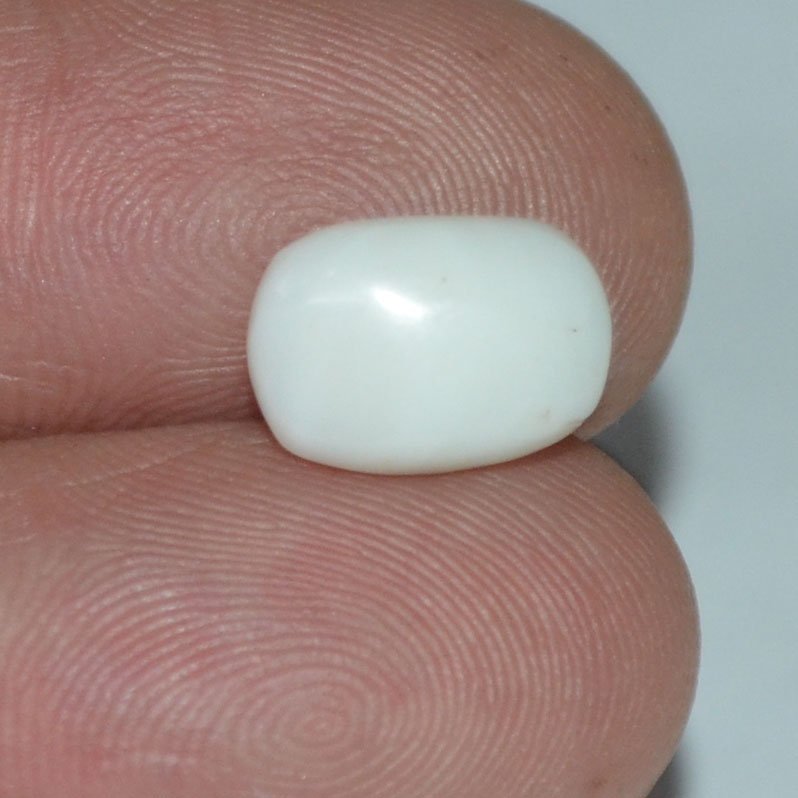 WC218 3 White Coral 2.88 Ct.
