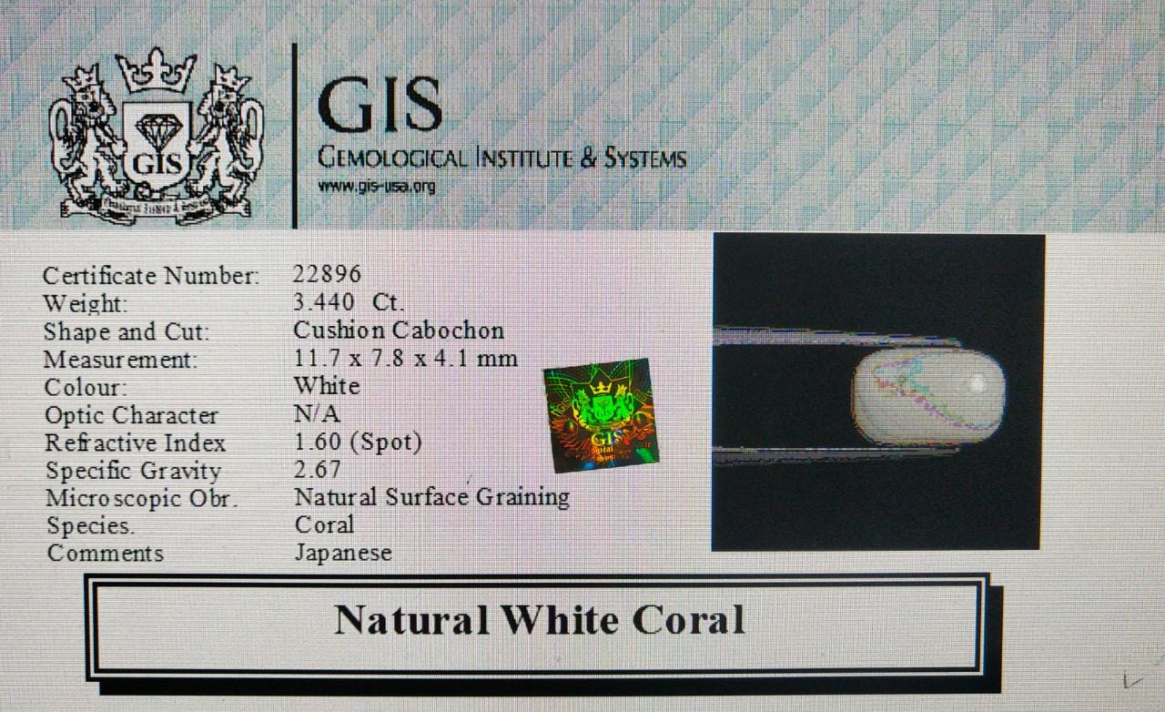 White Coral 3.44 Ct.