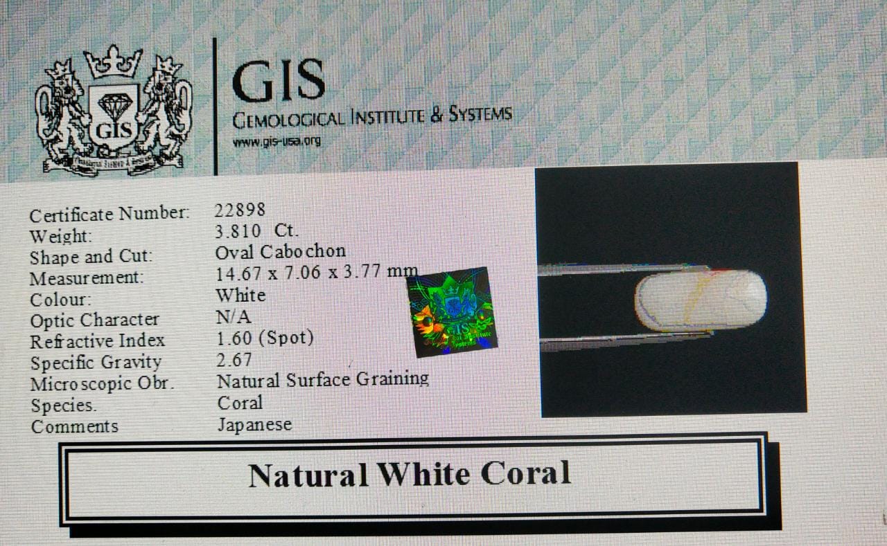 White Coral 3.81 Ct.