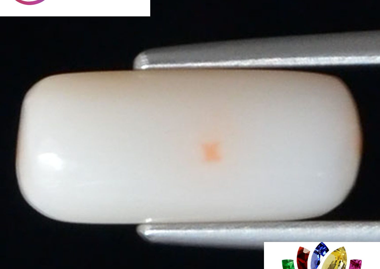 White Coral 4.16 Ct.