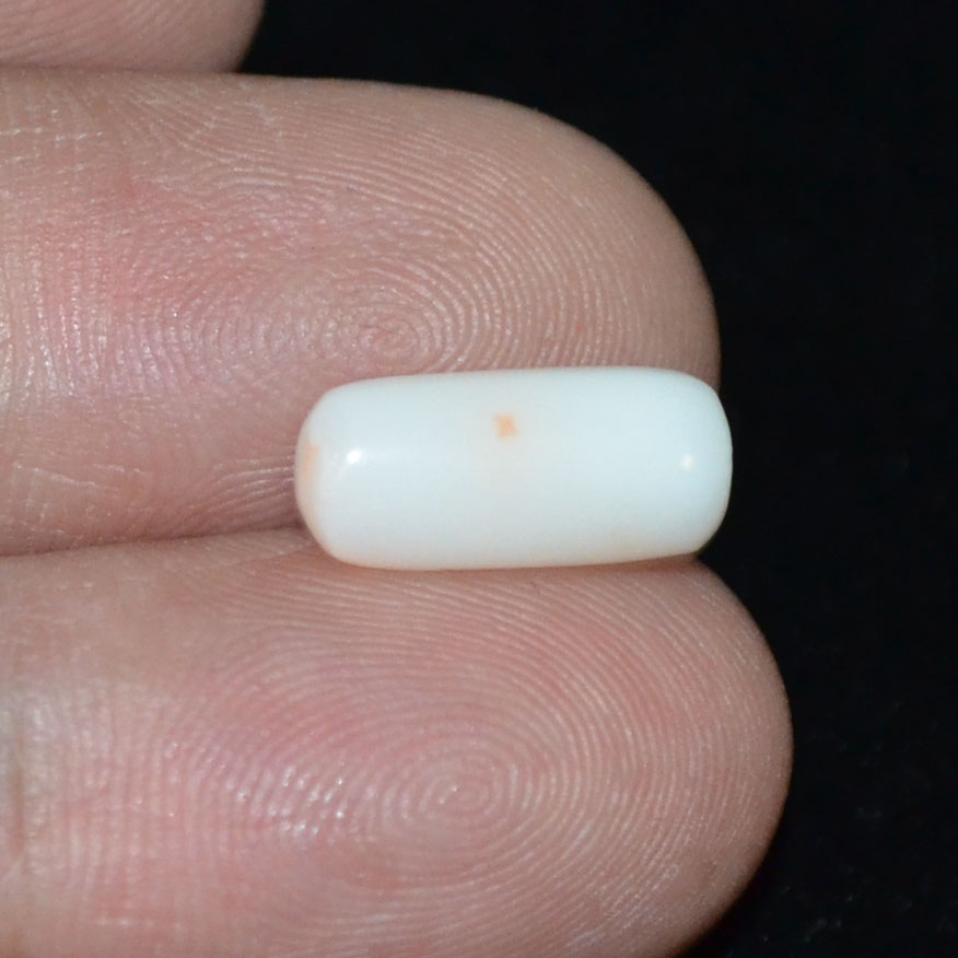 WC222 3 White Coral 4.16 Ct.