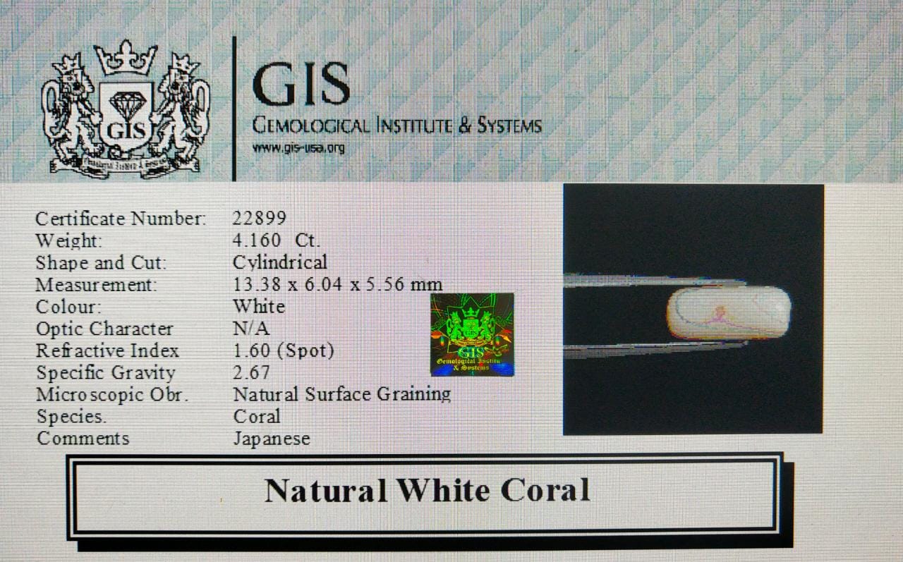 WC222 4 White Coral 4.16 Ct.
