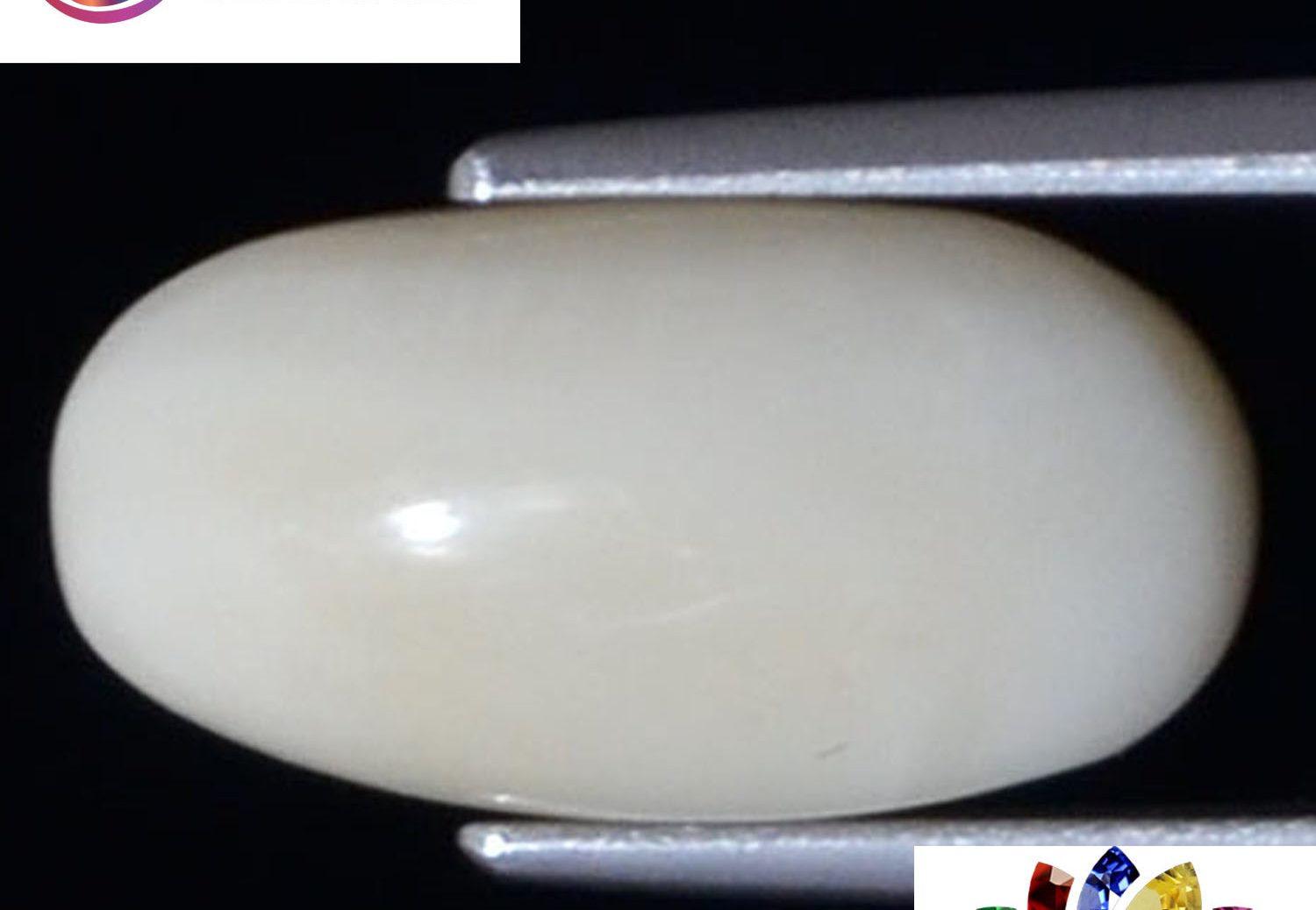 White Coral 4.34 Ct.