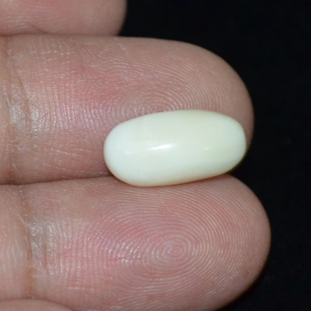 WC223 3 White Coral 4.34 Ct.