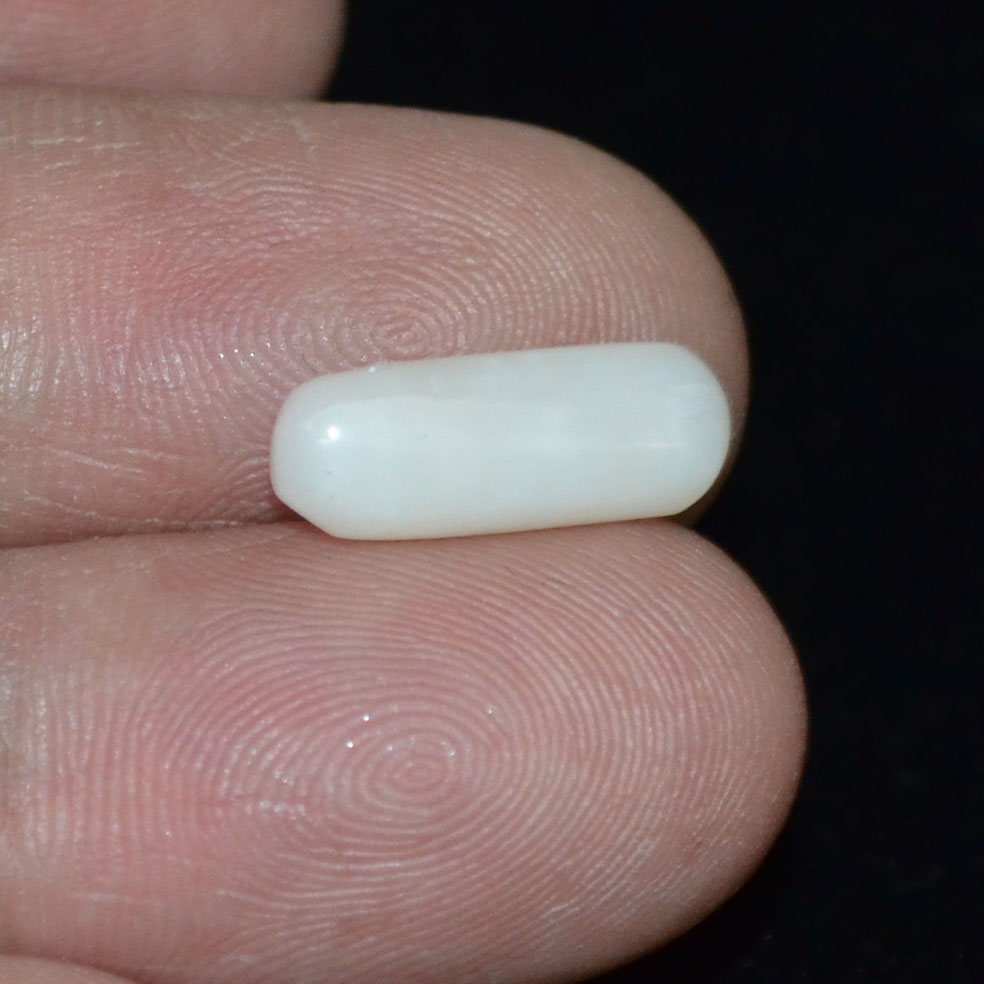 WC224 3 White Coral 3.3 Ct.