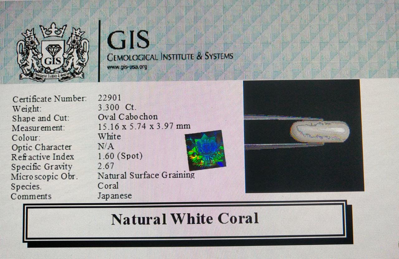 WC224 4 White Coral 3.3 Ct.