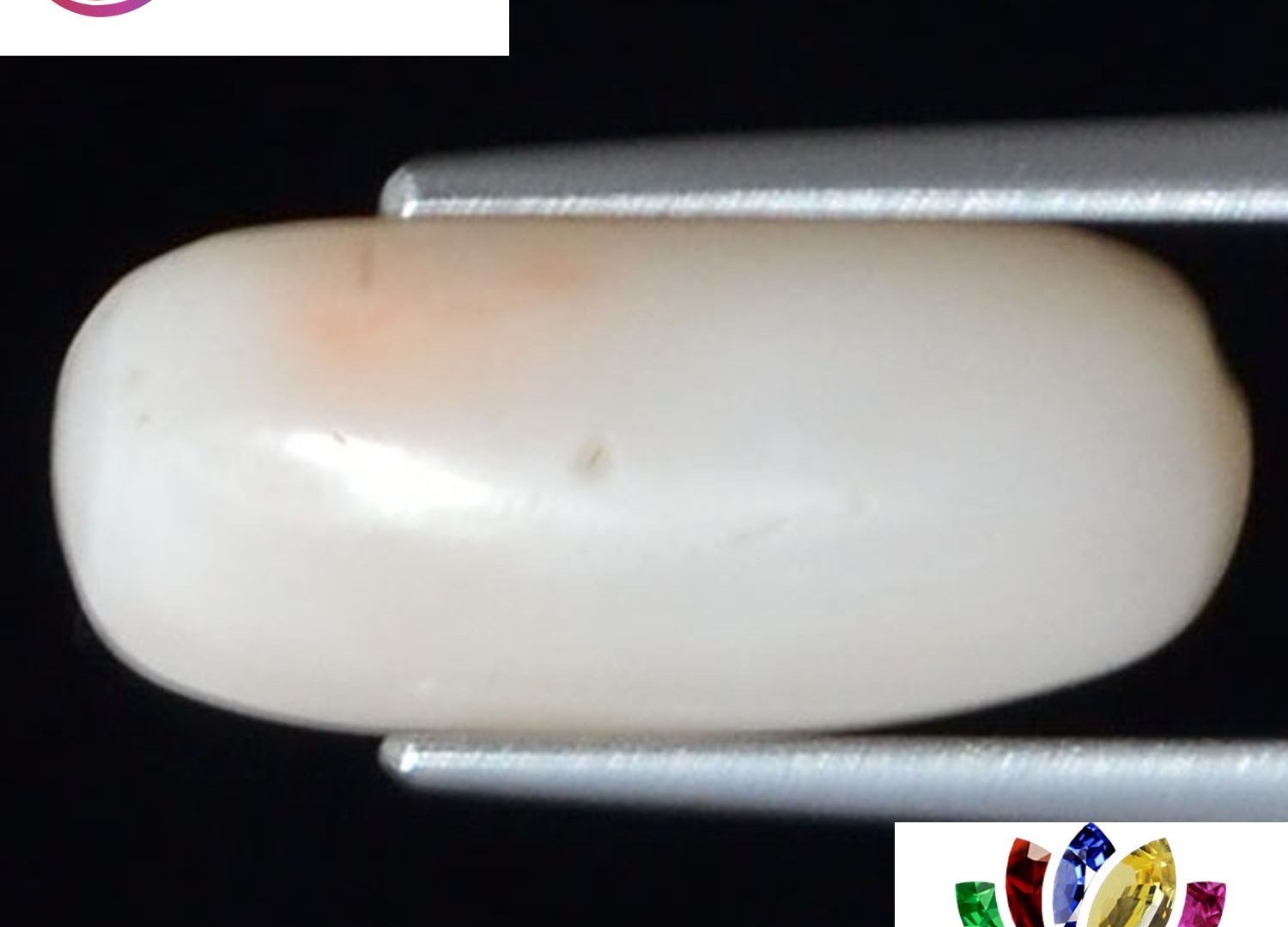White Coral 6.14 Ct.