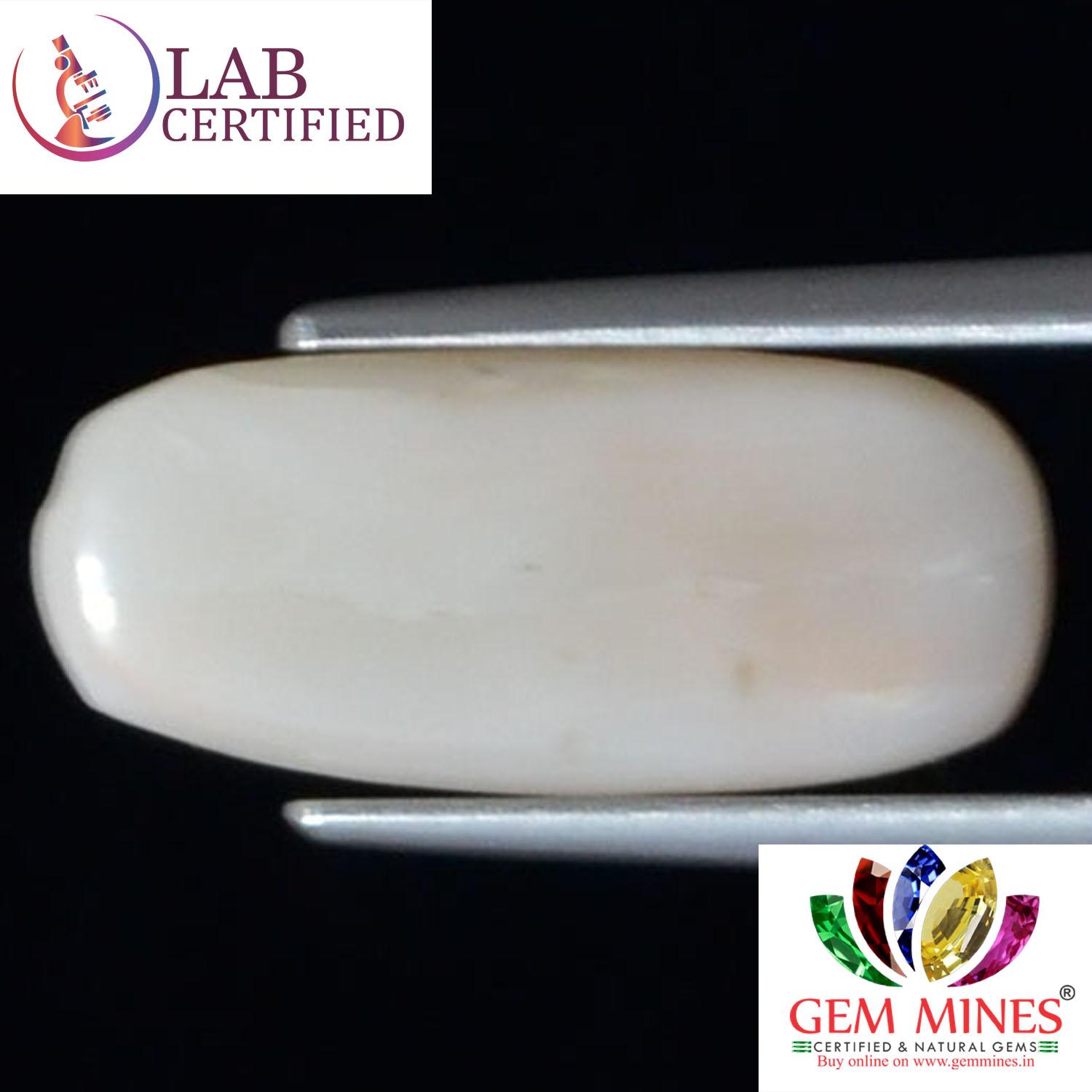 WC225 2 White Coral 6.14 Ct.