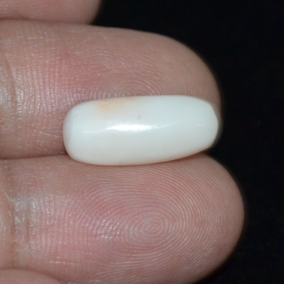 WC225 3 White Coral 6.14 Ct.