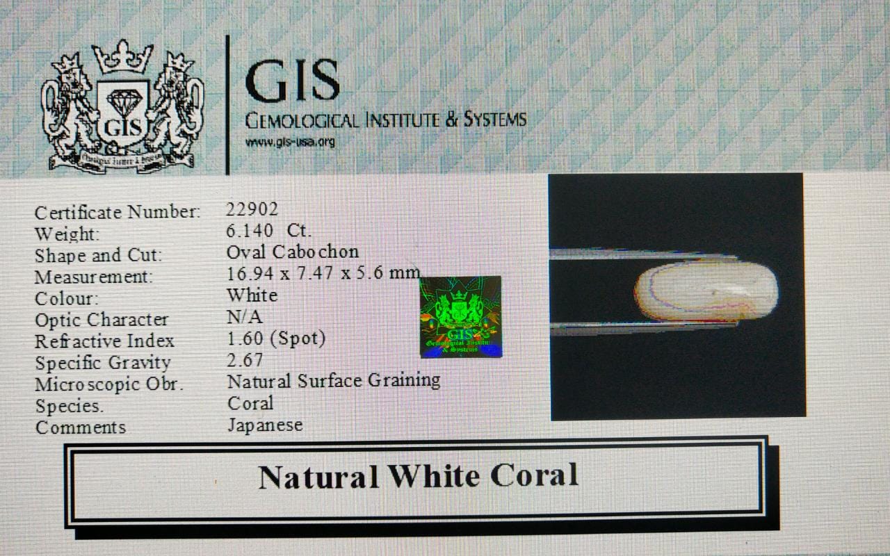WC225 4 White Coral 6.14 Ct.