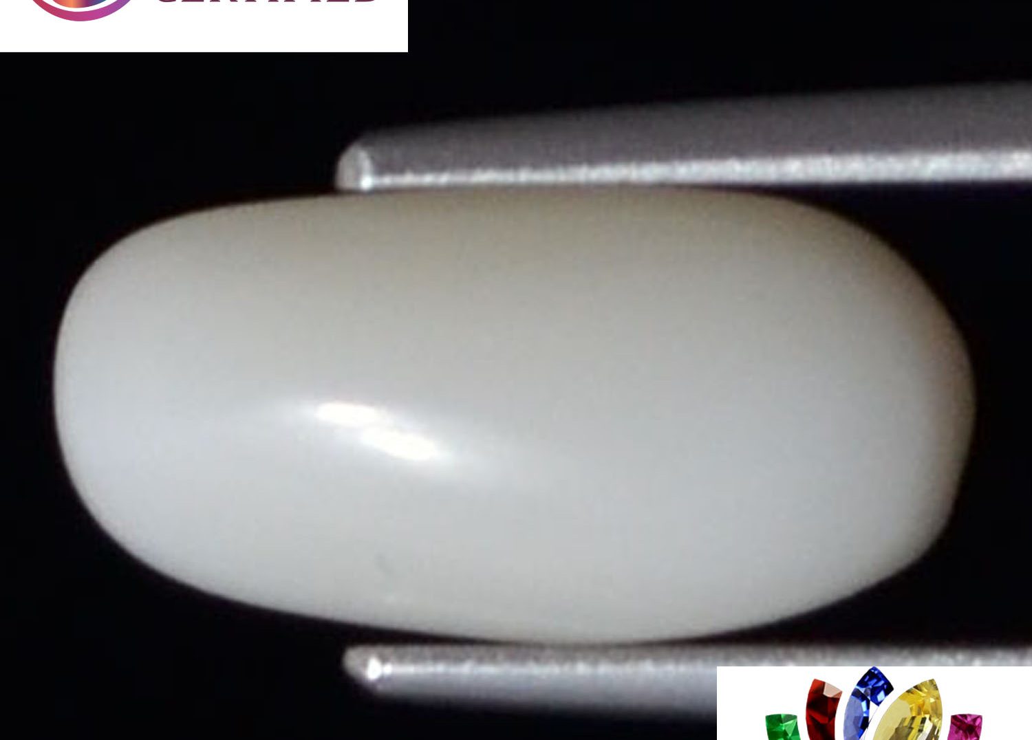 White Coral 2.56 Ct.