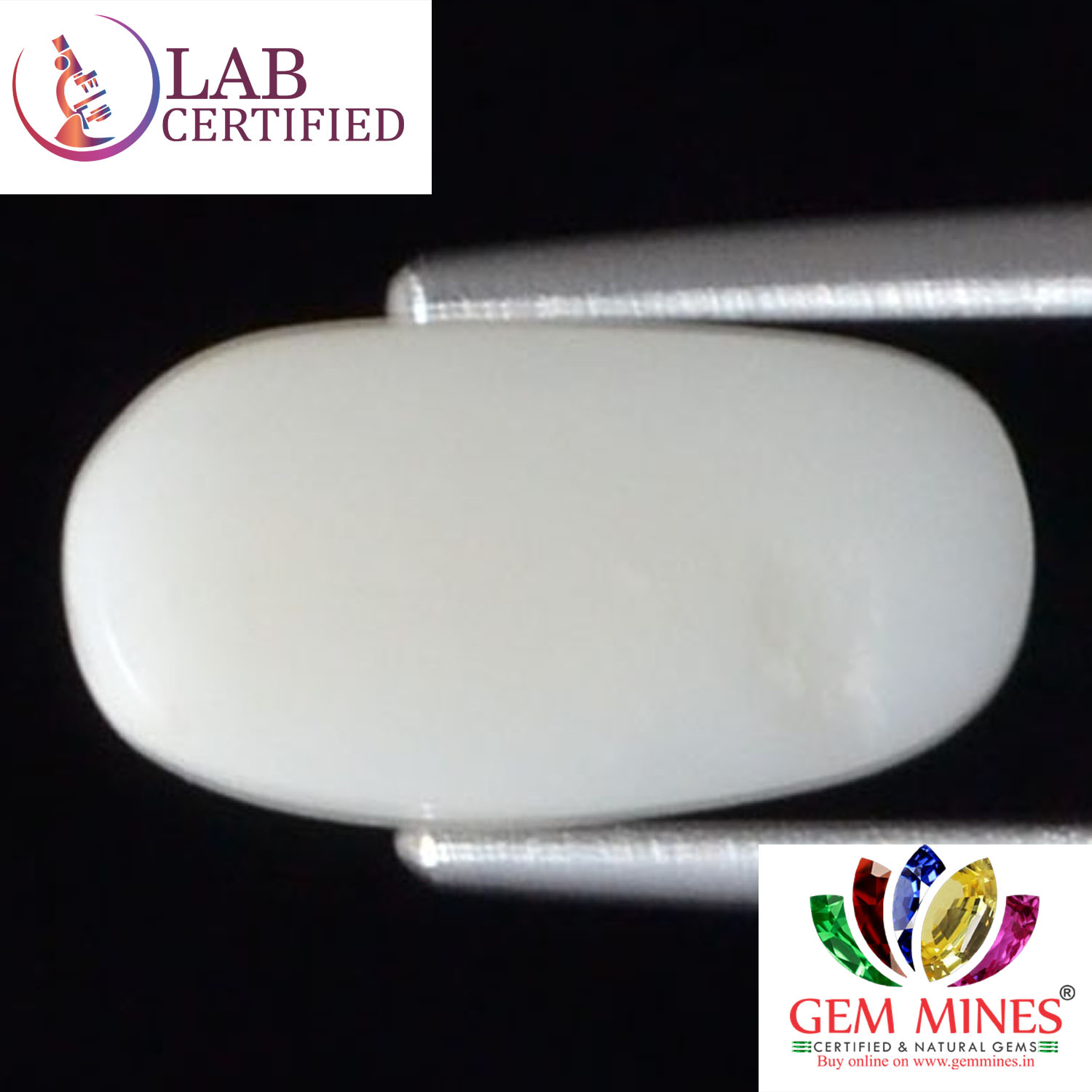 White Coral 2.56 Ct. 3 WC226 2 White Coral 2.56 Ct.