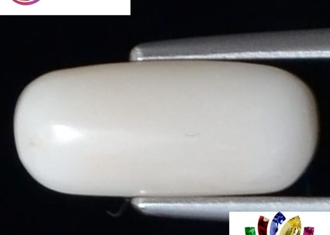 WC227 1 e1680689596803 White Coral 3.12 Ct.