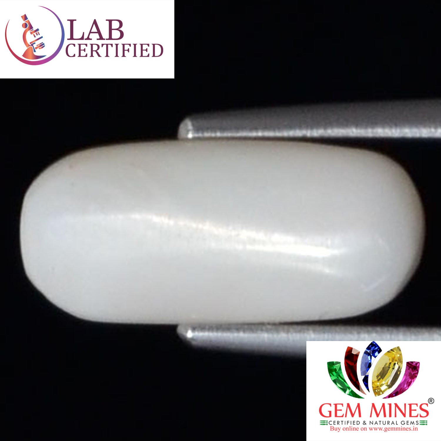 WC227 2 White Coral 3.12 Ct.