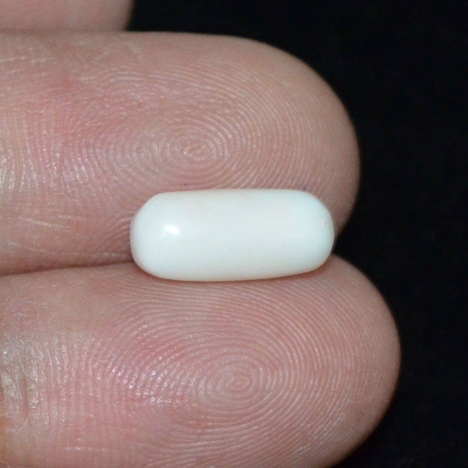 WC227 3 White Coral 3.12 Ct.