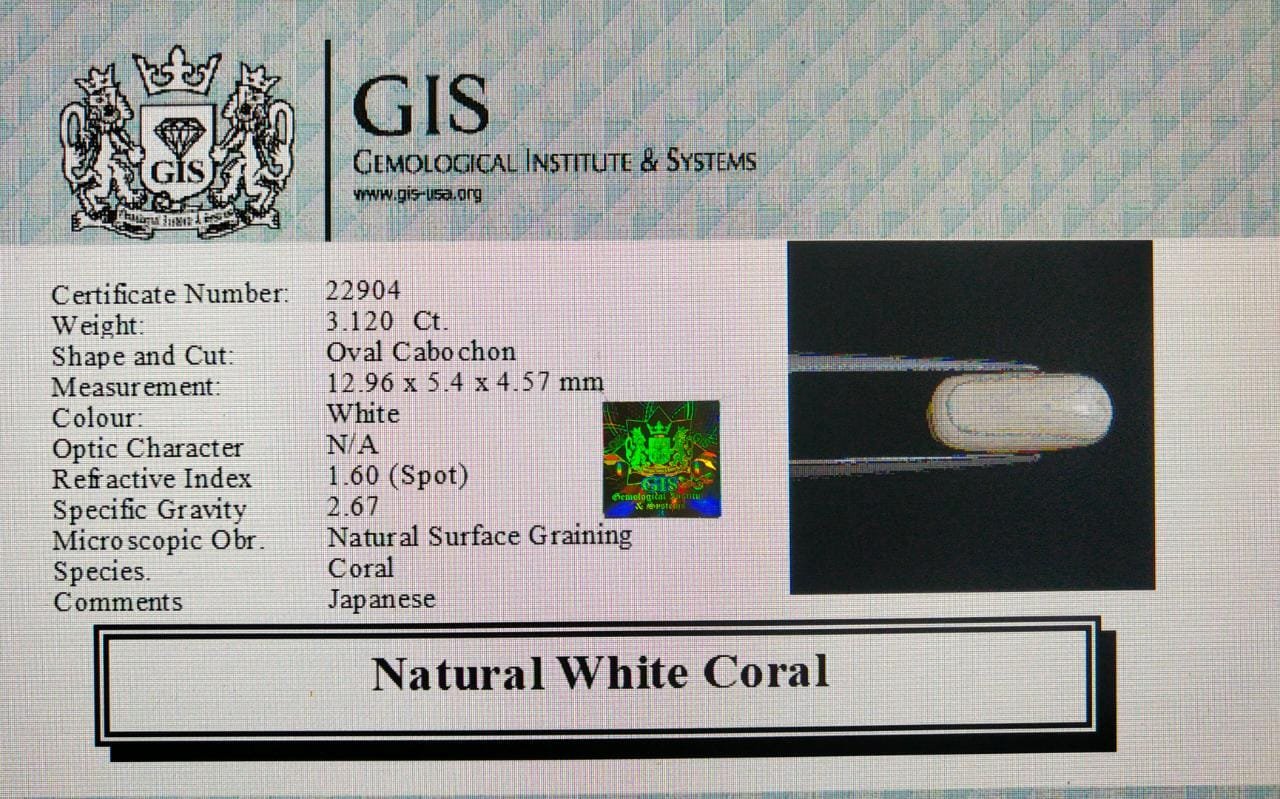 WC227 4 White Coral 3.12 Ct.