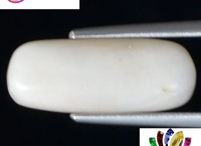 WC228 1 e1680689593233 White Coral 4.85 Ct.