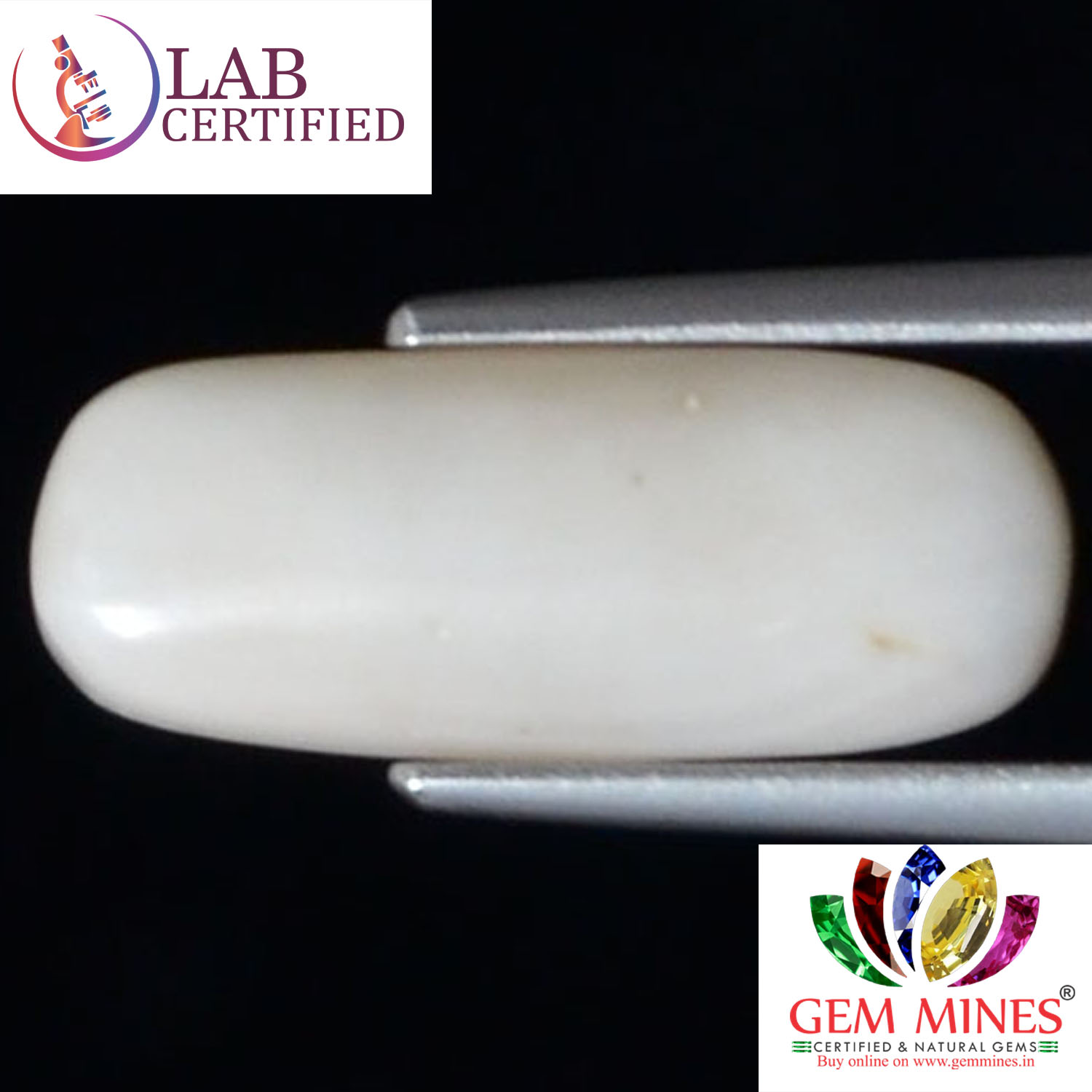 WC228 2 White Coral 4.85 Ct.