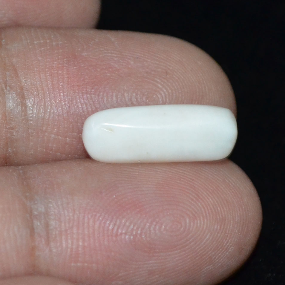 WC228 3 White Coral 4.85 Ct.