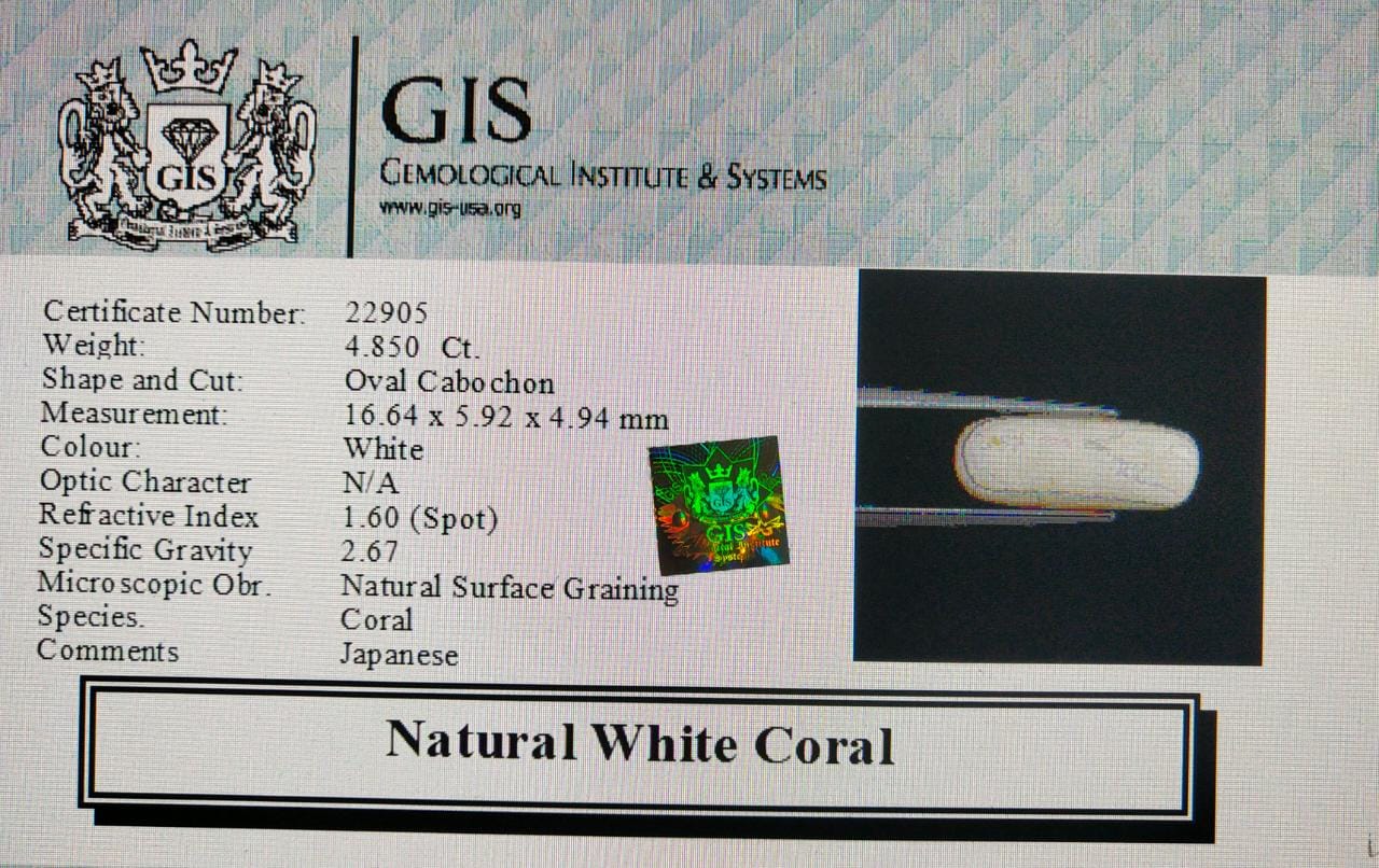 WC228 4 White Coral 4.85 Ct.