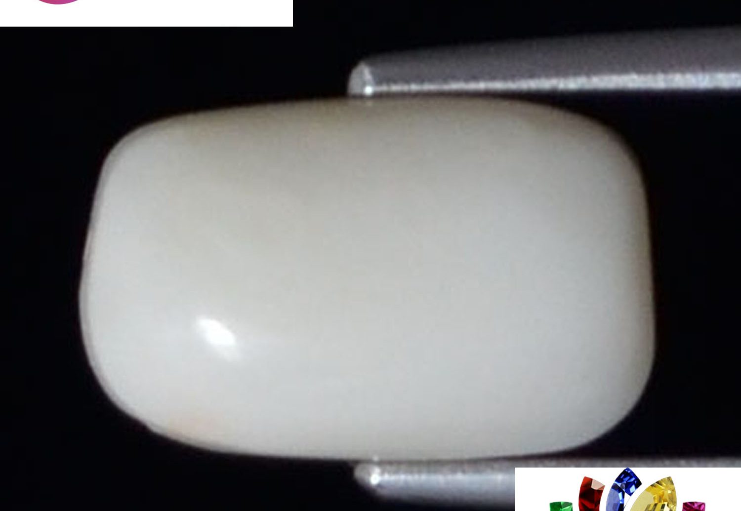 White Coral 3.91 Ct.