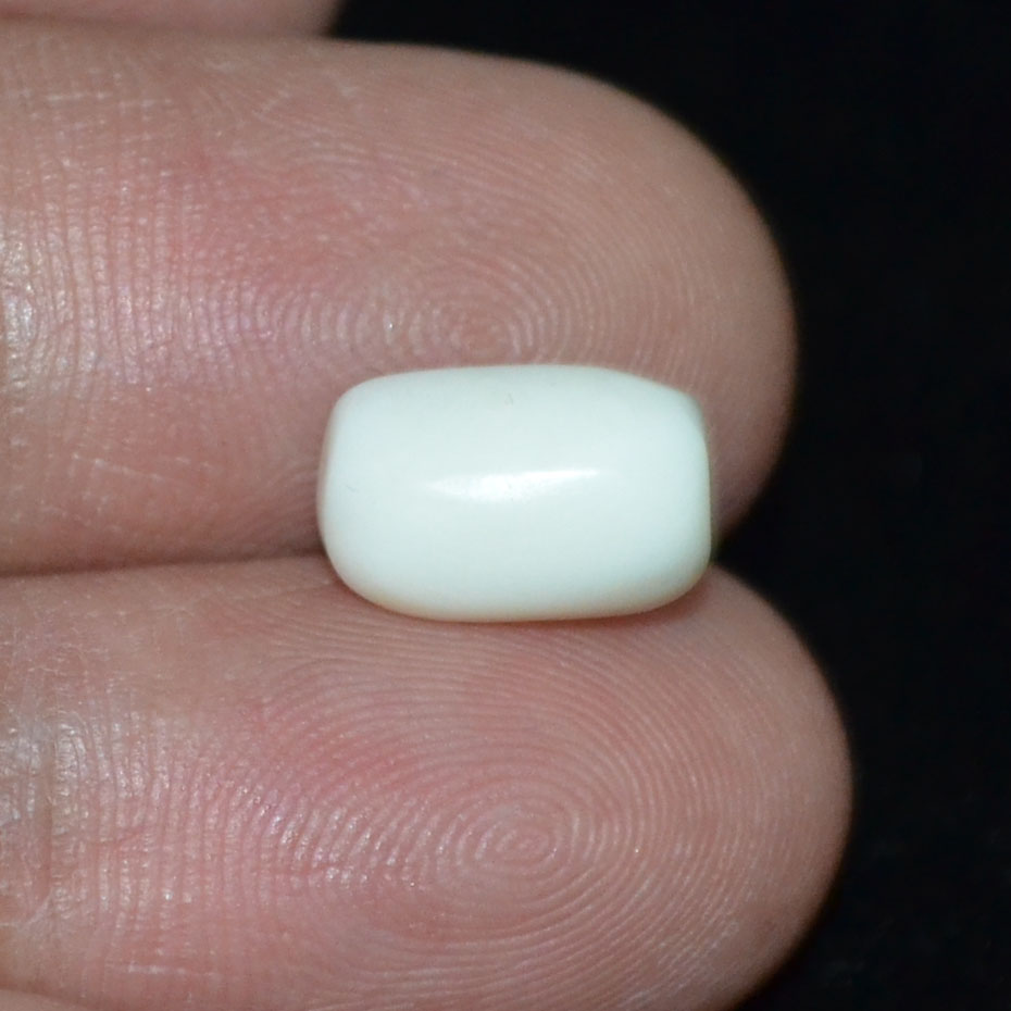 WC229 3 White Coral 3.91 Ct.