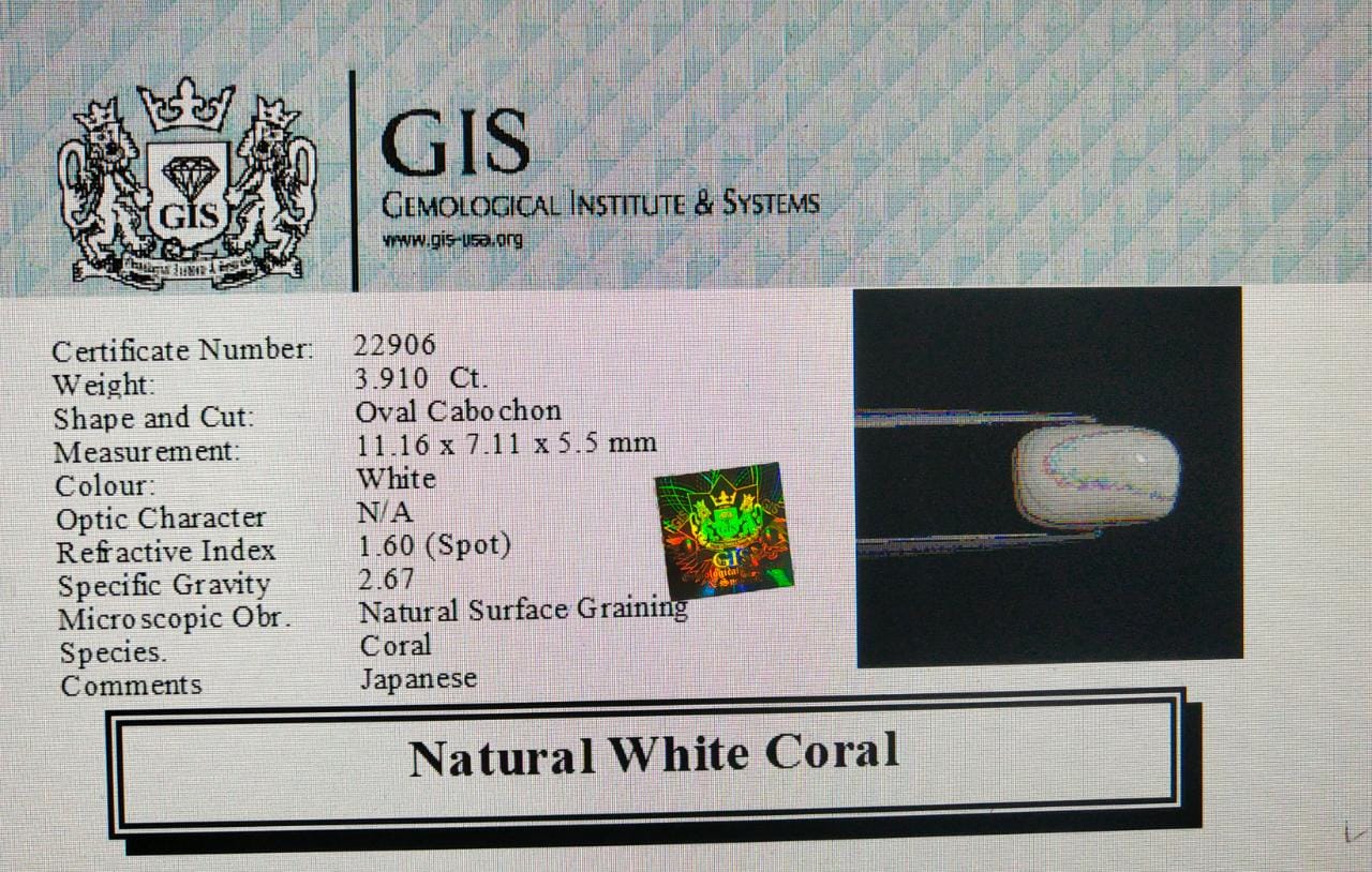 WC229 4 White Coral 3.91 Ct.