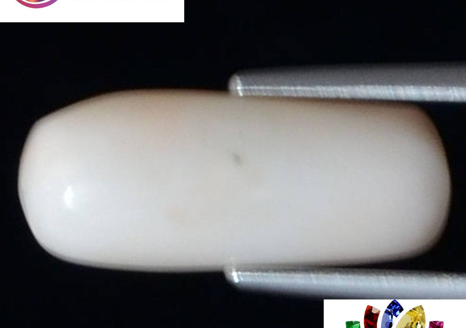 White Coral 5.76 Ct.